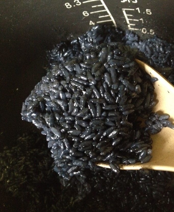 乌饭,浸泡后的糯米无需冲洗,直接隔水蒸熟或煮熟。