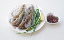 盐水虾,材料准备好!