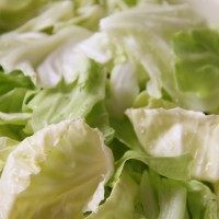 培根手撕包菜,将包菜去根,叶子撕下来,每一片都清洗干净,撕成小块,沥干水分。