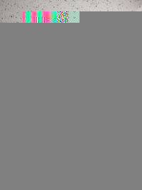 清炖羊肉汤,处理食材:<a style='color:red;display:inline-block;' href='/shicai/ 328'>羊腿</a>买时就已经剁成块,用温水洗净。胡萝卜和山药切滚刀块。生姜切厚片,花椒八角洗净