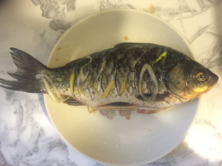 红烧鲫鱼,红烧鲫鱼的做法步骤:3 3切好刀花的鱼用盐,料酒,<a style='color:red;display:inline-block;' href='/shicai/ 692'>酱油</a>,刀花鱼肚里塞满葱姜腌制,我是前一天晚上准备好,第二天早上做的鱼,哈哈,所以腌制了一个晚上…