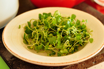 芝麻酱拌豆腐,菜洗净,沥干<a style='color:red;display:inline-block;' href='/shicai/ 156925'>水</a>分,码在碟子里