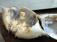 螃蟹粉丝煲,先用凉水把粉丝泡开,大概需要1个小时,可能粉丝质量不同,需要的时间不一样。在泡发粉丝的过程可以对付梭子蟹了。把蟹壳掀开,去掉里面的鳃(在蟹身体两侧)冲洗干净