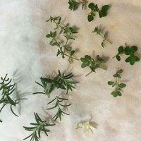 鲜香草黄油饼干,小心剪下新鲜的香草洗干净用厨房纸小心擦干(请查明所用植物是否可以食用)。