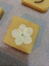 鲜香草黄油饼干,预热烤盘170度;将饼干铺排在烤盘中,留出一些间隙,将植物直接按在饼干表面,动作要轻柔,植物必须贴服,四周不可起翘(配图为四月开琼花)。