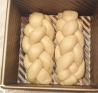 奶油小吐司,入烤箱发酵，底下放盆温水，发酵结束后面包表面均匀的刷上<a style='color:red;display:inline-block;' href='/shicai/ 219'><a style='color:red;display:inline-block;' href='/shicai/ 219'>牛奶</a></a>（如果吐司模加盖烤就不用刷<a style='color:red;display:inline-block;' href='/shicai/ 219'><a style='color:red;display:inline-block;' href='/shicai/ 219'>牛奶</a></a>了）