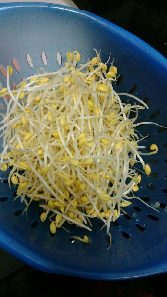 水煮肉片,<a style='color:red;display:inline-block;' href='/shicai/ 120'>豆芽</a>洗净，焯水至熟，平铺在碗底