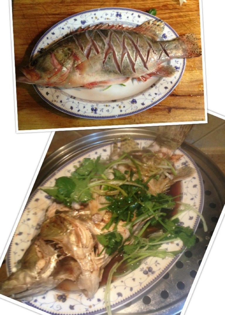 清蒸桂鱼
