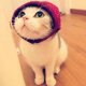 annie娃娃