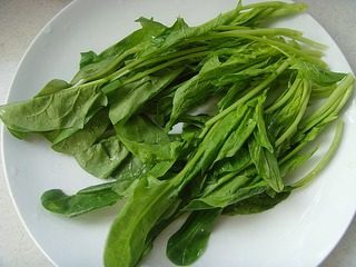 炸菠菜脯,菠菜洗净,取菠菜心嫩叶。