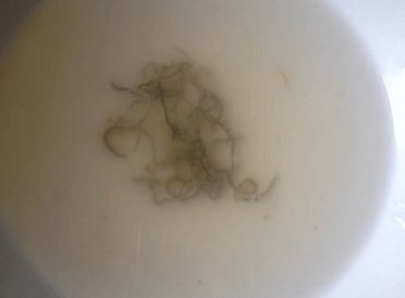 蒜蓉粉丝开片虾 ,用一个小碗装半碗清水,将每只虾的虾线挑出;