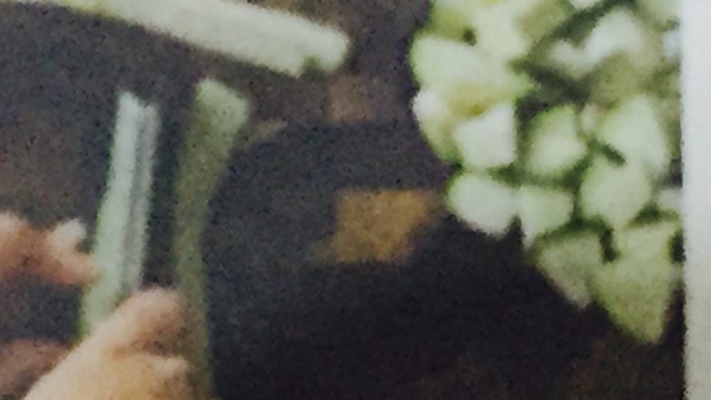 少油 少盐 英国菜,把<a style='color:red;display:inline-block;' href='/shicai/ 58'>茄子</a>切成四份，然后把<a style='color:red;display:inline-block;' href='/shicai/ 58'>茄子</a>仁切出来，然后将白色的<a style='color:red;display:inline-block;' href='/shicai/ 58'>茄子</a>仁切成块状