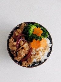 肥牛饭,将肥牛片,洋葱丝,胡萝卜和西兰花摆在<a style='color:red;display:inline-block;' href='/shicai/ 507'>米饭</a>上,再淋上汤汁就可以了。