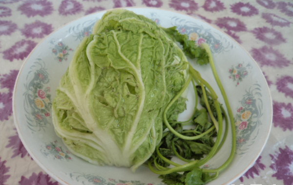 白菜鲫鱼汤,<a style='color:red;display:inline-block;' href='/shicai/ 114'>白菜</a>、香菜择洗干净