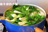 客家酿豆腐,烧一锅开水,把小白菜稍微烫一下(主要是因为我用的小白菜非常多,所以先烫了10来秒,如果青菜的分量较少的话应该直接炒一下就好,没这么麻烦);