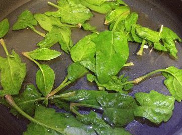 鲜蔬虾饼,菠菜洗净,开水加盐和几滴油焯烫,捞出冷水冼净后挤水剁碎末;
