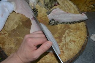 松鼠鳜鱼,然后在鱼肉上先直刀、深至鱼皮(勿破皮)。