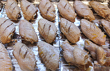 柠檬鸡翅,腌好的鸡翅均匀地排放在烤箱上,然后涂一层<a style='color:red;display:inline-block;' href='/shicai/ 865'>蜂蜜</a>,放入预热好的烤箱