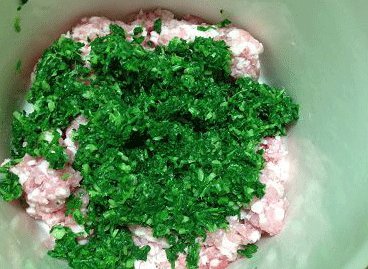 荠菜猪肉汤圆,荠菜(自然沥干,略挤水,不要挤太干)切细碎后,加入猪肉馅中,加葱姜末;