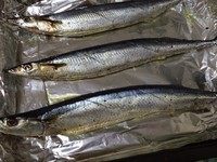 盐烤秋刀鱼,将鱼排在铺好锡纸的烤盘内，放入预热了约5分钟的烤箱，上下火，200度，烤15分钟后翻面再烤15分钟。