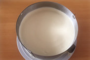 丝绒乳酪慕斯,在第一层慕斯液上放置第二片蛋糕片,倒入其余慕斯液,冷藏过夜
