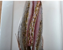 醋香怀胎鱼,<a style='color:red;display:inline-block;' href='/shicai/ 380'>鳜鱼</a>用剪刀从头部伸入,剪掉腮,冲洗干净,然后沿着脊背各划一深刀。