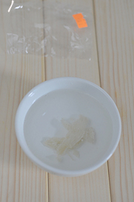 木瓜牛奶炖燕窝,把干燕条洗净表面，放干净碗里，倒入50ml纯净水。