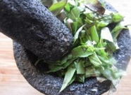 南阳香茅棒棒鸡串,<a style='color:red;display:inline-block;' href='/shicai/ 2794'>大蒜</a>和kaffir lime叶子、九层塔叶子捣碎备用