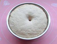 全麦蓝莓乳酪欧包,全麦面团搅拌完之后在室温28度的状态下醒发60分钟