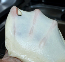 港式吐司,把中种材料剪成小块，与主面团材料除了<a style='color:red;display:inline-block;' href='/shicai/ 887'>黄油</a>外都放在面包机里，揉成较光滑的面团后，将<a style='color:red;display:inline-block;' href='/shicai/ 887'>黄油</a>放入，继续将面团揉到可拉出大片结实薄膜的阶段，即完全阶段