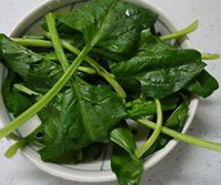 菠菜汁碧绿蛋羹,<a style='color:red;display:inline-block;' href='/shicai/ 117'>菠菜</a>洗净,汆烫至熟后,用食品料理机打碎成菜泥。