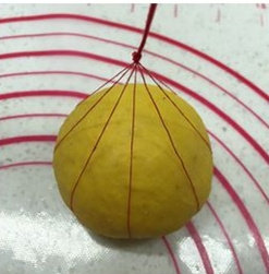 黄金南瓜豆沙面包,取4根细棉线,十字交叉摆放,摆出一个米字,轻轻的把面团放到米字正中间的交叉点,依次把每根棉线提起来,捏在手里面,变成一绺,打一个结,中间留出一定距离,因为二发时面团要膨胀。(如果发现分割距离不均匀,捆好后也可以稍微调整一下)。