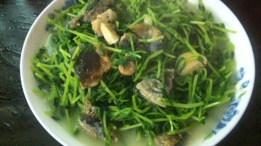 上汤豆苗