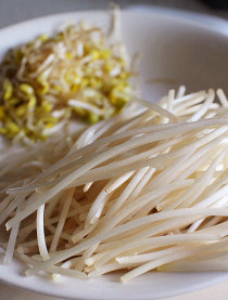 辣炒银芽小鱼,黄豆芽摘除头尾成为银芽;<a style='color:red;display:inline-block;' href='/shicai/ 2794'>大蒜</a>去皮切片;辣椒斜切细片