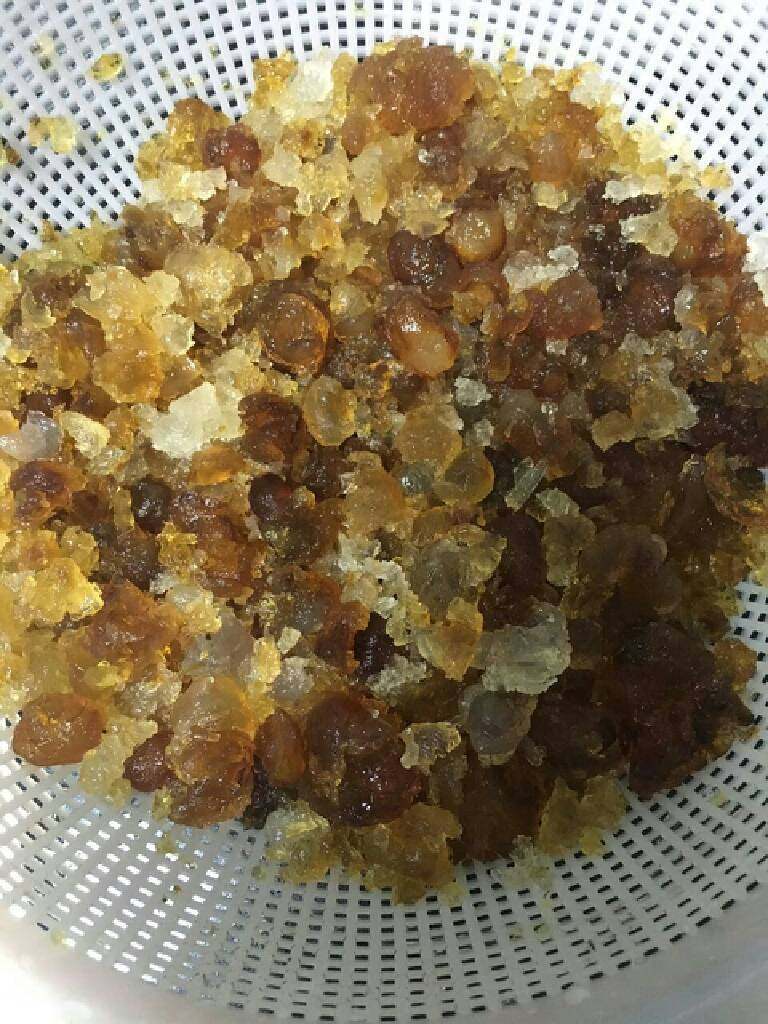 桃胶银耳红枣枸杞汤,这就是泡好的桃胶用自来水冲干净