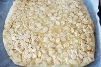 法式杏仁焦糖脆饼,用刮片压平杏仁片表面。再度送入烤箱。170°,烤15分钟。