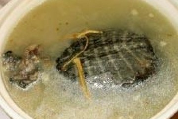 清蒸八宝甲鱼
