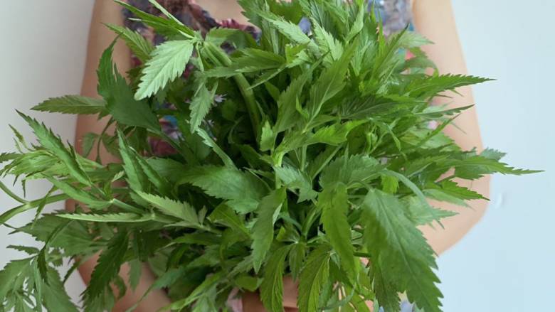 乡土美味凉拌野芹菜,野芹菜1把