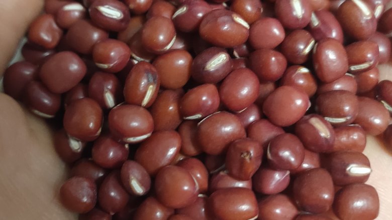 奶茶,选用颗粒饱满的<a style='color:red;display:inline-block;' href='/shicai/ 3607'>红豆</a>