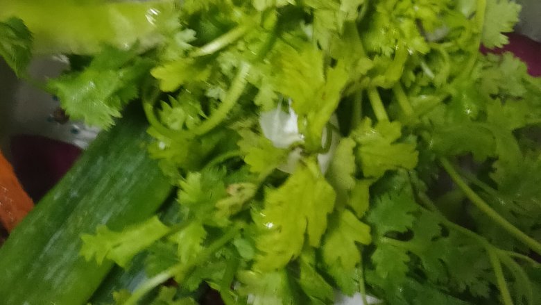 豆瓣酱,所有的配料洗净 控水