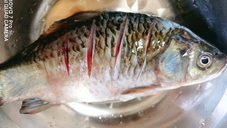 家常鲫鱼,<a style='color:red;display:inline-block;' href='/shicai/ 377'>鲫鱼</a>把它杀好之后,把内脏清洗干净,再两面划几刀,方便入味,再用盐腌制一会