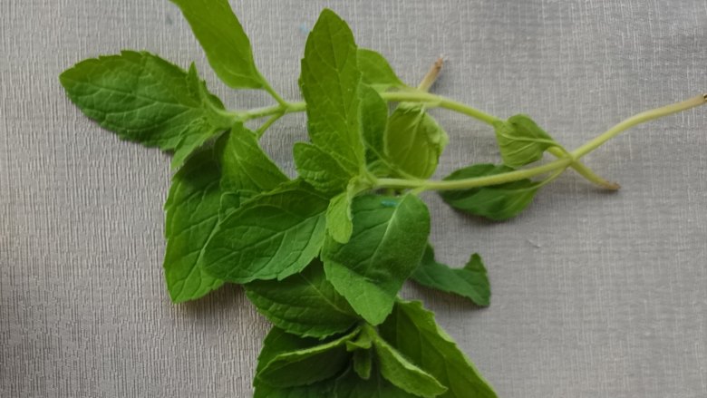 柠檬薄荷花茶,取新鲜的<a style='color:red;display:inline-block;' href='/shicai/ 91614'>薄荷叶</a>,洗净待用