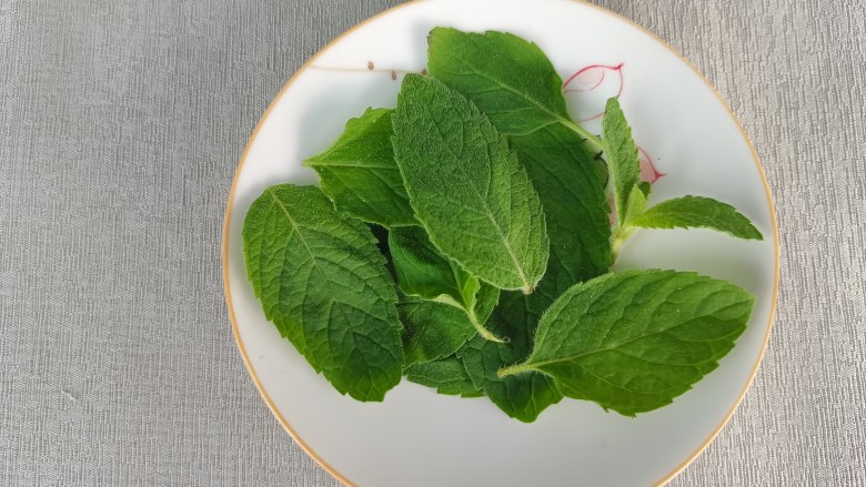 香草柠檬冰饮,薄荷将叶片取下待用