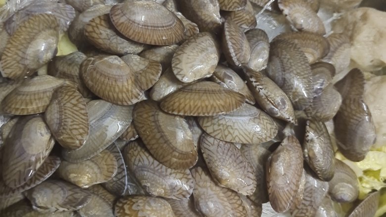 花甲粉丝煲(火锅),铺上花甲