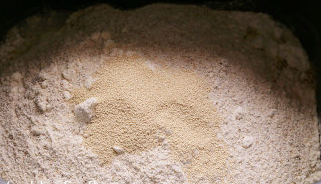 海苔肉松早安面包,后放入<a style='color:red;display:inline-block;' href='/shicai/ 1124'>奶粉</a>+高粉+全麦粉,顶部放置酵母