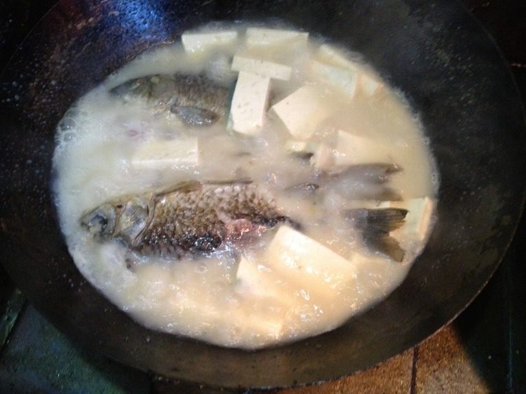 火腿豆腐鲫鱼汤,汤转白用中火继续煮