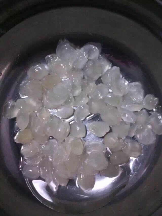金耳桃胶养颜羹,皂角米泡发后也洗净,煮熟后糯糯的,好吃的噢~