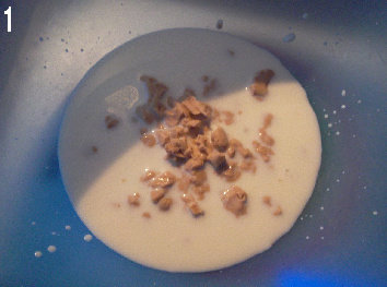 俄罗斯荞麦小煎饼Blinis,酵母与少量<a style='color:red;display:inline-block;' href='/shicai/ 219'>牛奶</a>混合均匀