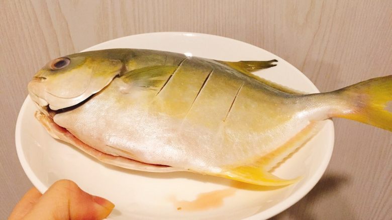 清蒸金边鲳鱼,把鱼洗净，鱼身上切口带入味