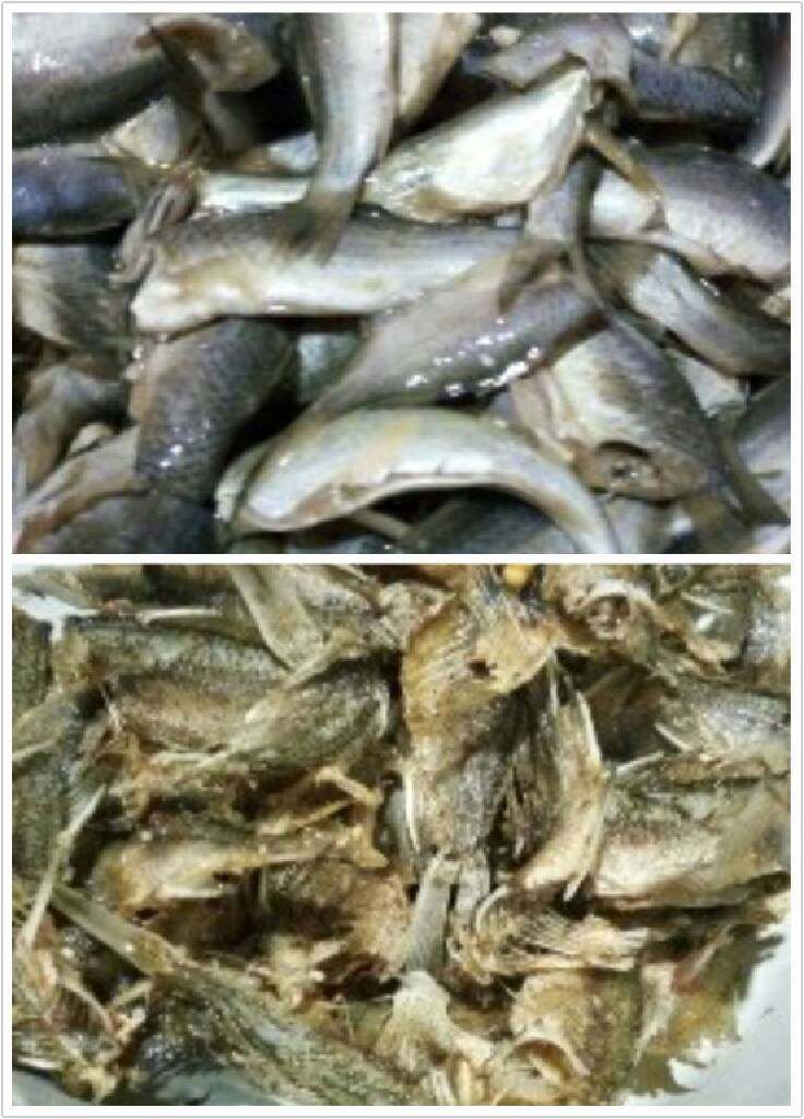 地方菜――安徽麻辣小鱼干,野生小鲫鱼洗净,沥干水分,用料酒,盐,胡椒粉腌制20分钟,用油炸成鱼干备用